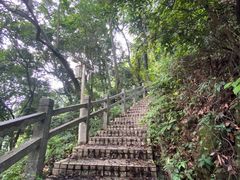 -广州市帽峰山景区