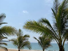 -三亚海棠湾万丽度假酒店