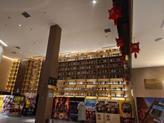 -深影国际影城(学院南路店CGS中国巨幕店)