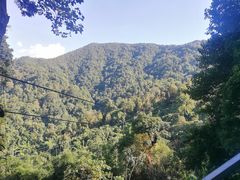 -清迈丛林飞跃 JungleFlight