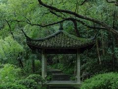 -虎跑公园