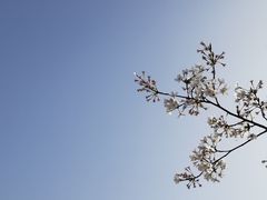 -苏州上方山国家森林公园