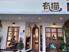 -有猫主题·治愈系猫咖(曾厝垵店)