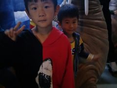 -临沂极地海洋王国