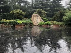 -西苑公园