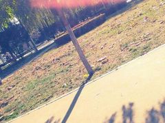 android_upload_pic-石刻园