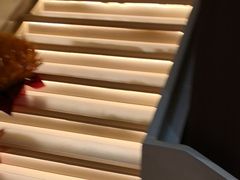 -粥六•新晋菜(柳巷店)