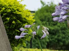 -上海山野camping·户外天幕烧烤·团建拓展营地