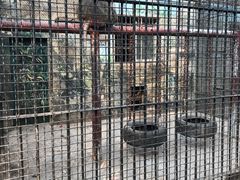 -保定市动物园