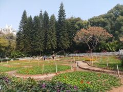 -晓港公园