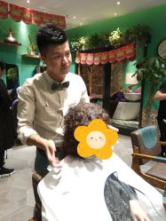 烫染-木北护肤造型