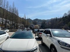 -九华山聚龙大酒店