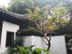 -秋霞圃