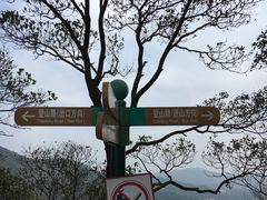 -田心森林公园