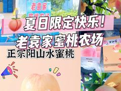 -老袁家蜜桃农场·阳山水蜜桃