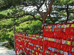 -香山公园
