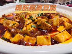蹄筋麻婆豆腐-肆海小川菜酒馆Wine Bistro (青年路店)
