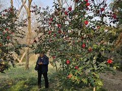 -蜀冈西峰生态公园