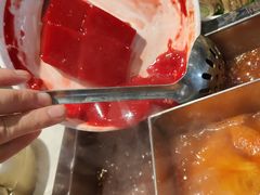 鲜鸭血-红鼎坊·老成都火锅(新南门店)