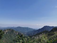 -大岭沟猕猴桃谷风景区
