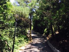 -梦幻奥陶纪景区