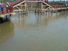 -东寨港红树林旅游区