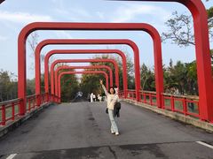 -黄海国家森林公园