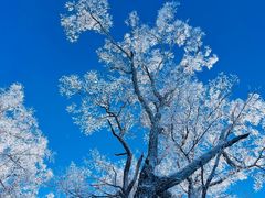 -长白山万达国际滑雪场