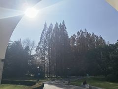 -上海虹桥迎宾馆