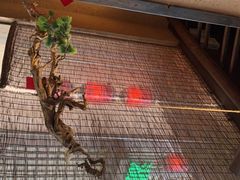 -农耕记·湖南土菜(科技园店)
