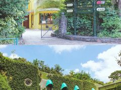 -三鹰之森吉卜力美术馆