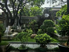 -碧江金楼