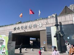 -陕西自然博物馆