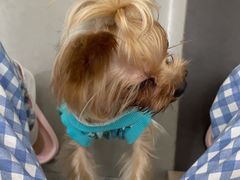 -爱侣宠医·鹦鹉专科·小型哺乳类·异宠专科(灵石路店)