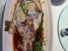 -湖锦酒楼·旗舰店(三阳总店)