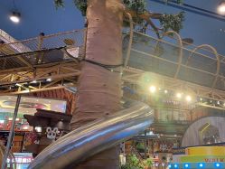 -卡通尼·Safari非洲探索乐园·生日会(金桥国际商业广场店)