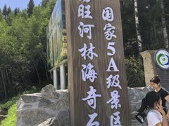 -汤旺河林海奇石景区