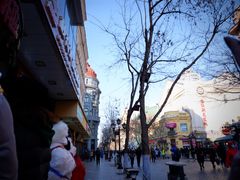 -华梅西餐厅(哈尔滨中央大街店)