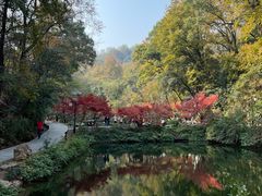 -岳麓山风景名胜区