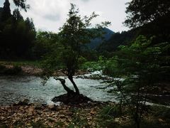 -楠溪江石桅岩