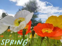 -名花谷生态庄园