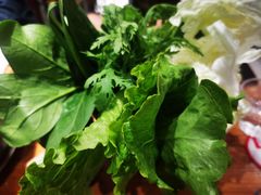 蔬菜拼盘-科尔沁铜火锅