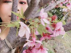 -云幽谷旅游区