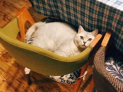 -不舍昼夜咖啡馆