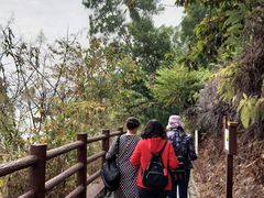 -羚羊峡古栈道森林公园