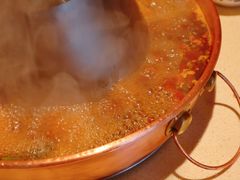 鸳鸯锅-东镇老火锅(长春路首店)