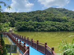 -黄埔油麻山森林公园