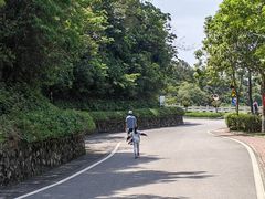 -火炉山森林公园