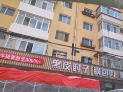 -老码头黑皮肘子锅包肉熏酱水饺(文政街店)