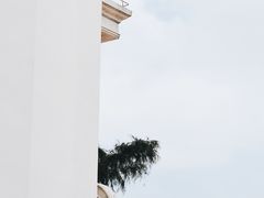 -玫瑰海岸文化旅游度假区